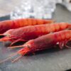 Gambero Rosso Di Mazara del Vallo - immagine 2