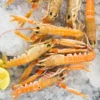 Scampi - immagine 2