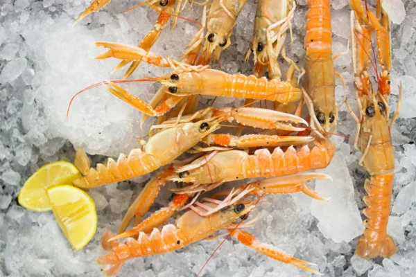 Scampi - immagine 2